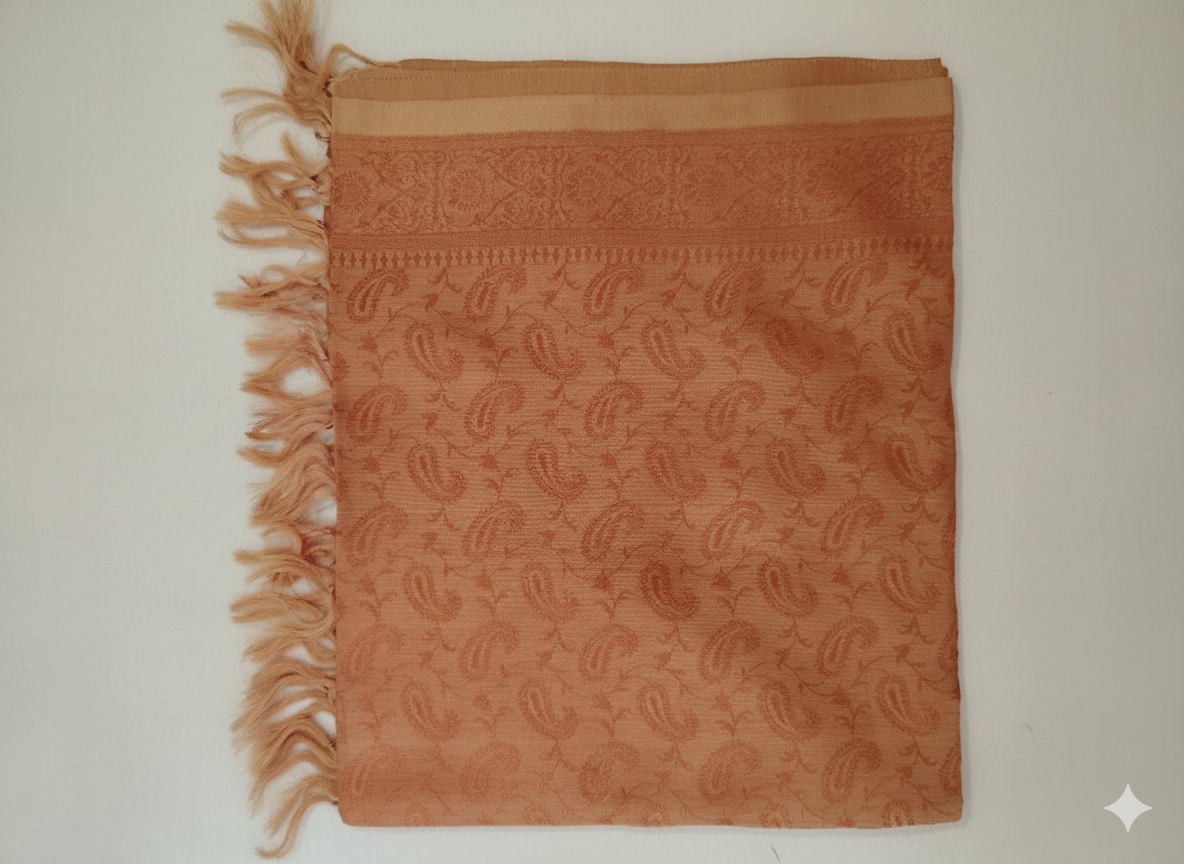 Earthy HANDWOVEN Artisanal Pure Silk Banarasi Weave Stole