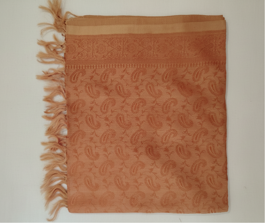 Earthy pure silk Banarasi stole - cultural gift from India for foreign delegates
